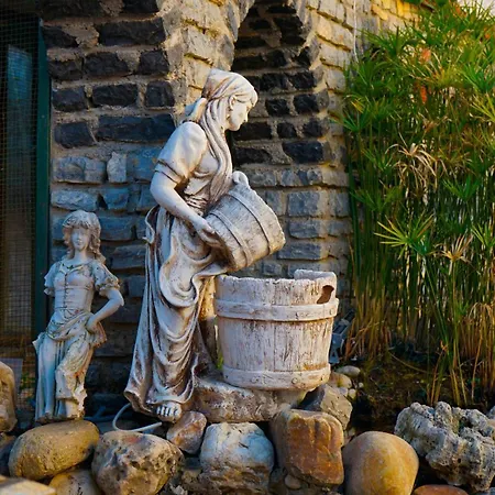 מלון Oscar Seaside & Spa בודרום