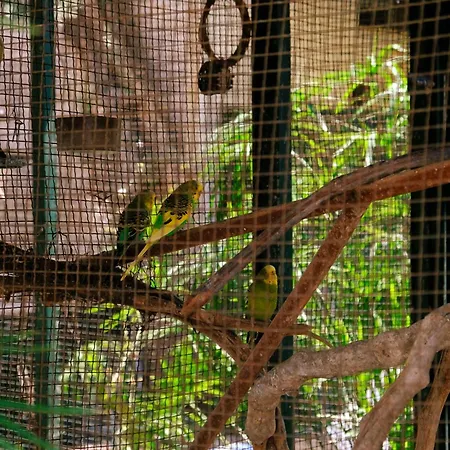 מלון Oscar Seaside & Spa